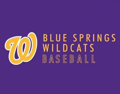 Blue Springs Wildcats High School Baseball